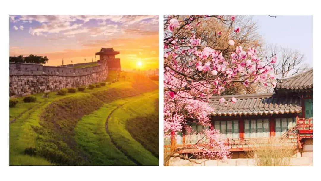 UNESCO World Heritage Sites day tour from Seoul