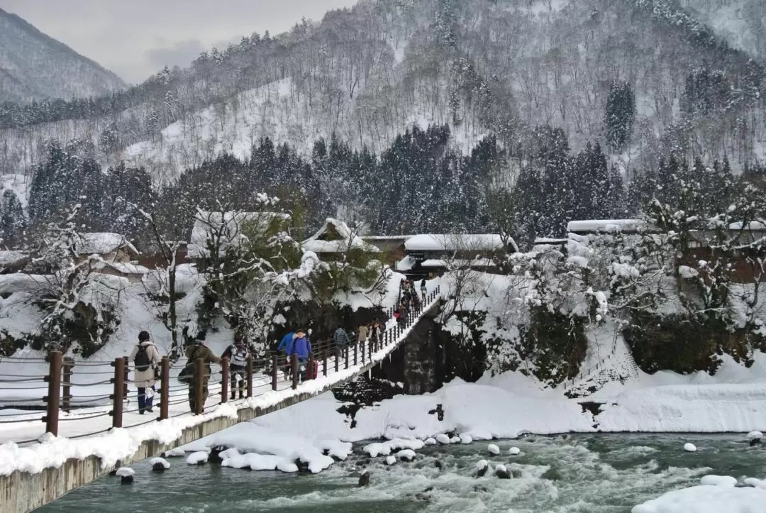  Takayama & Shirakawa-go Day Tour with Hida Beef Lunch from Nagoya