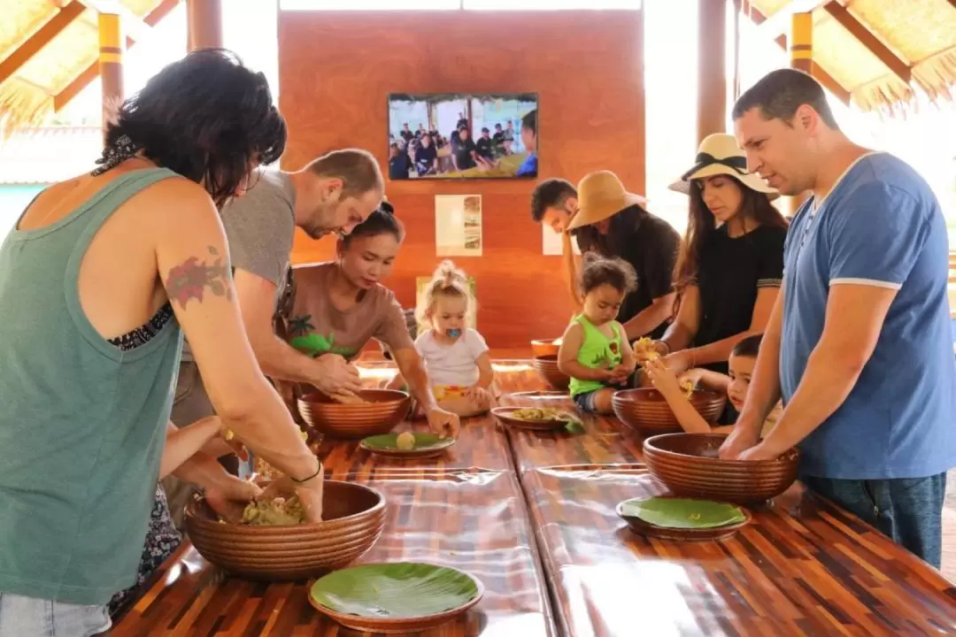 Elephant Feeding Experience in Samui