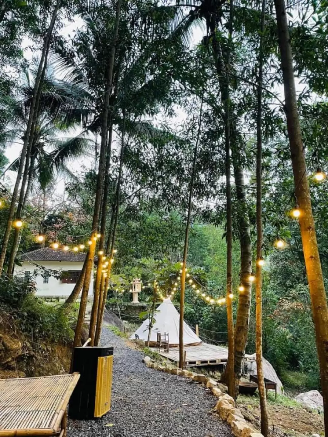 Glamping Experience in Kong Forest Adventure Park