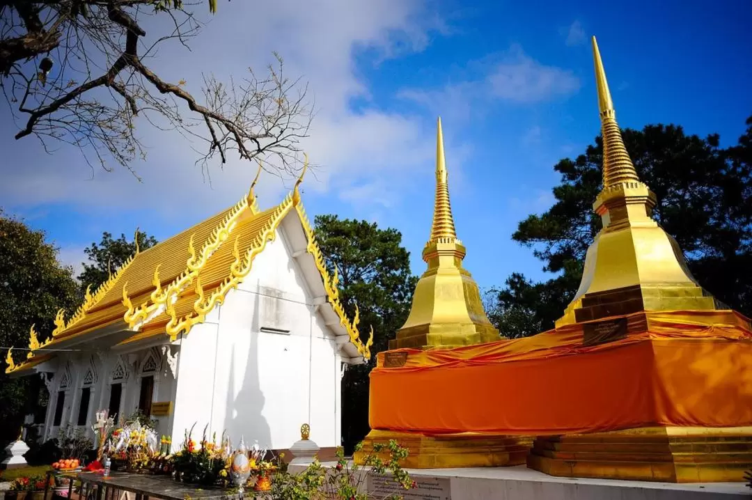 Wat Phra That Doi Tung and Doi Tung Royal Villa Half Day Tour from Chiang Rai