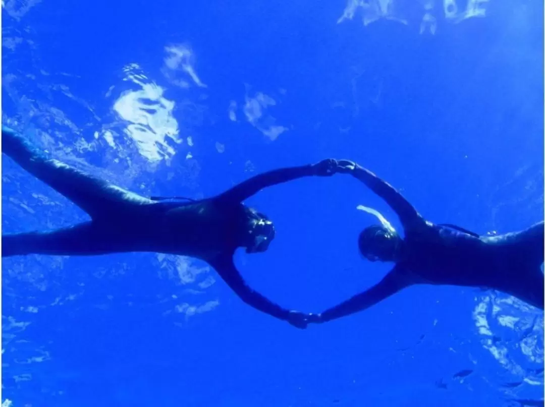 Snorkeling Experience in Yakushima