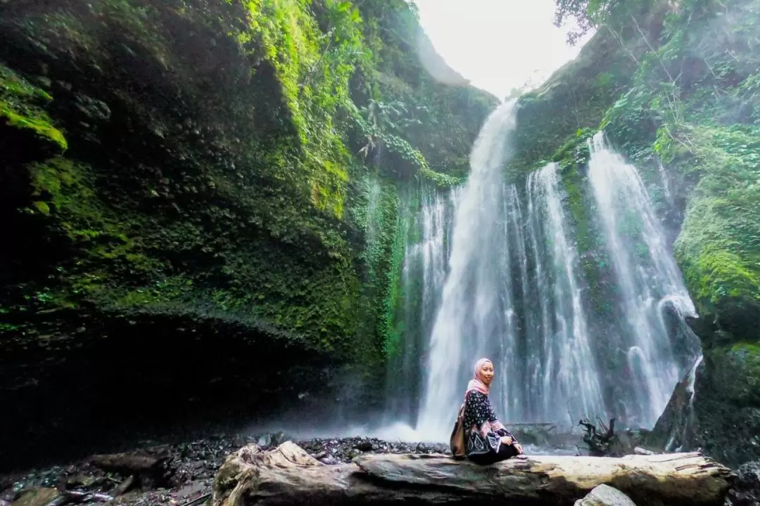 Lombok Waterfalls and Monkey Forest Private Day Tour