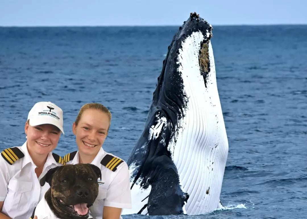 Augusta Whale Watch Experience