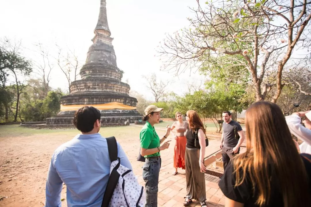 Wat Umong and Doi Suthep Temples Half Day Tour