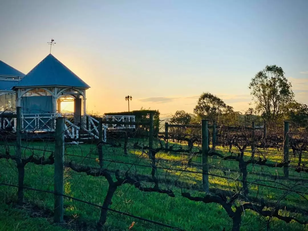 Helicopter Winery Tour from Brisbane