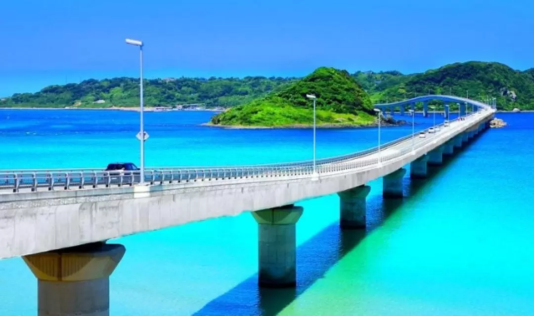 Tsunoshima Bridge & Motonosumi Inari Shrine Day Tour from Fukuoka