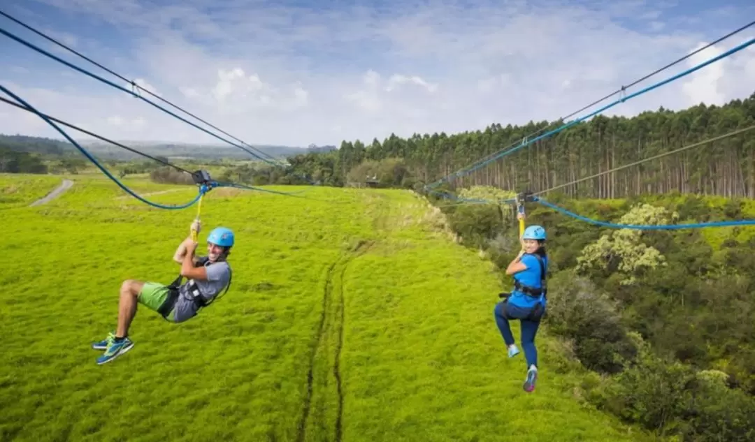 Umauma Falls Zipline Experience in Big Island