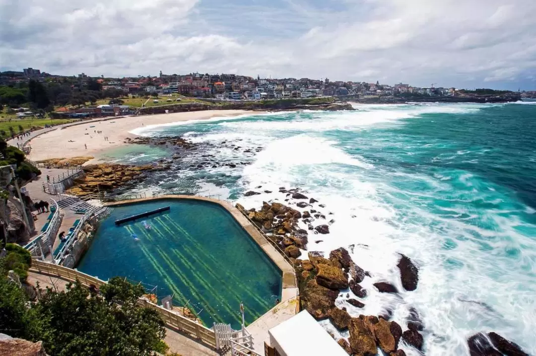 Sydney Beaches, Baths and Rockpools Private Tour 