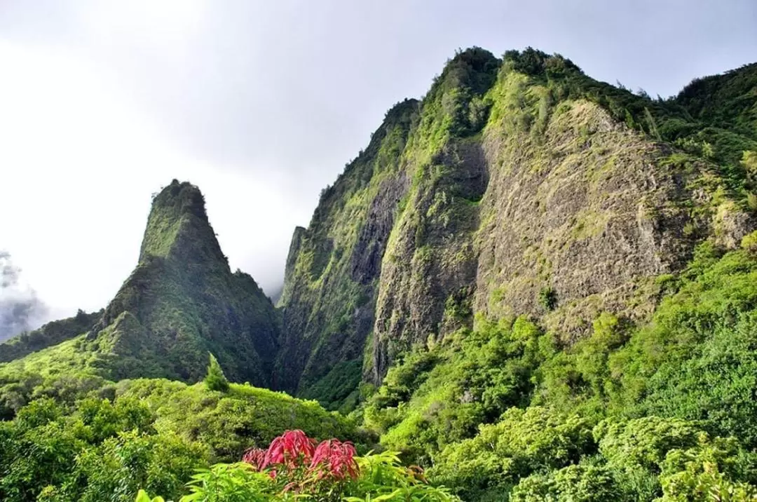 茂宜岛精华之旅：哈雷阿卡拉火山＆伊欧山谷＆乡村小镇