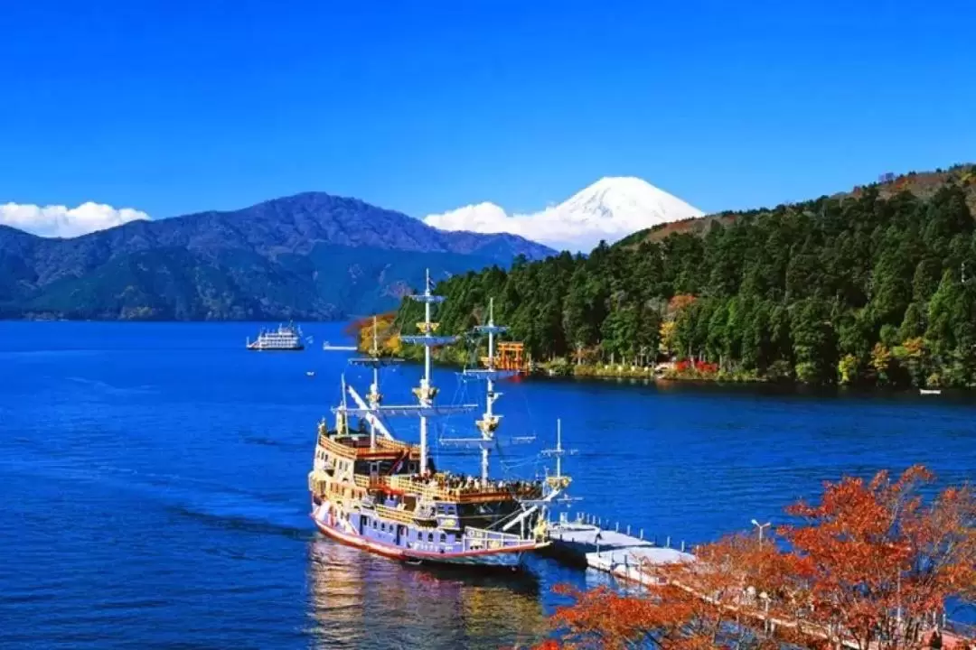 Hakone one-day tour by chartered car (from Tokyo)