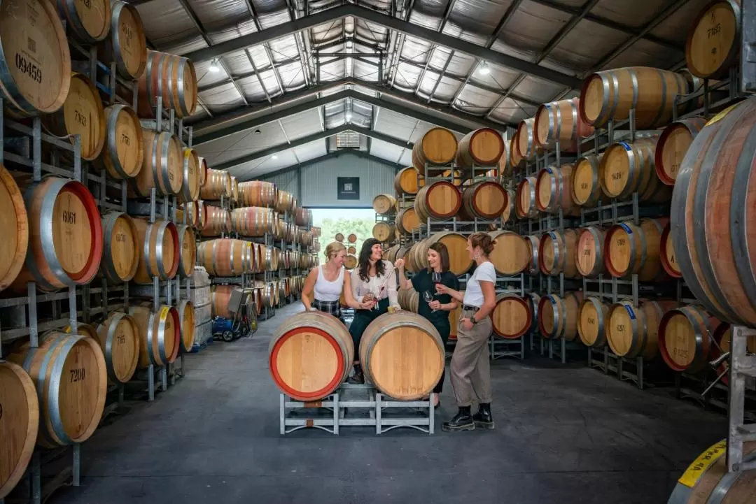 From the Ground Up Tasting Experience in McLaren Vale