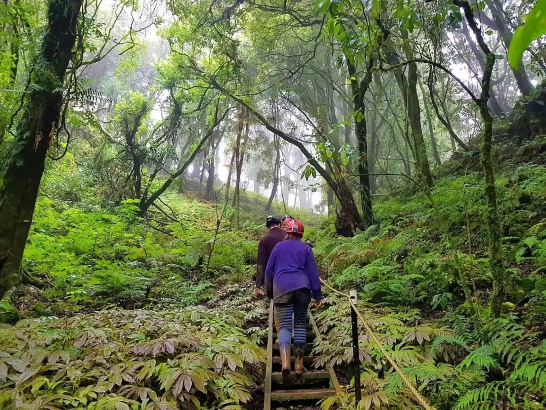 Off the Beaten Track Glow Worm Guided Eco Tour in Waitomo