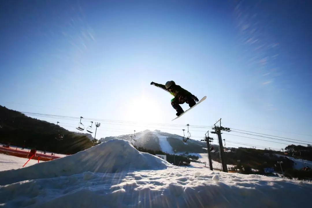 江原道 Welli Hill滑雪度假村一日遊