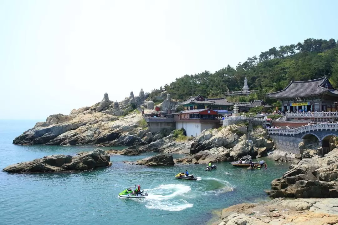 Busan's top 5 tourist attractions one Day&Night tour