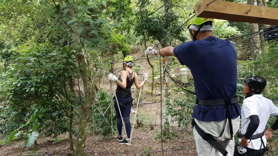 Hualien: Zipline Experience at Wild Monkey Adventure Jungle 