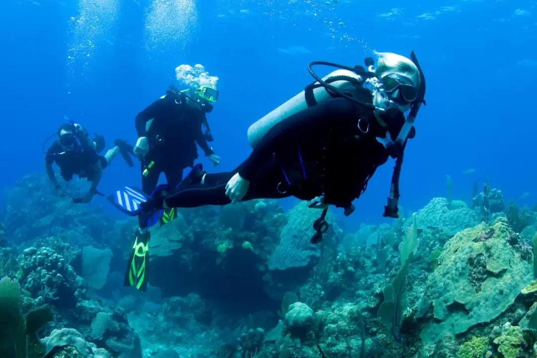 PADI Open Water Diving Course in Dubai 