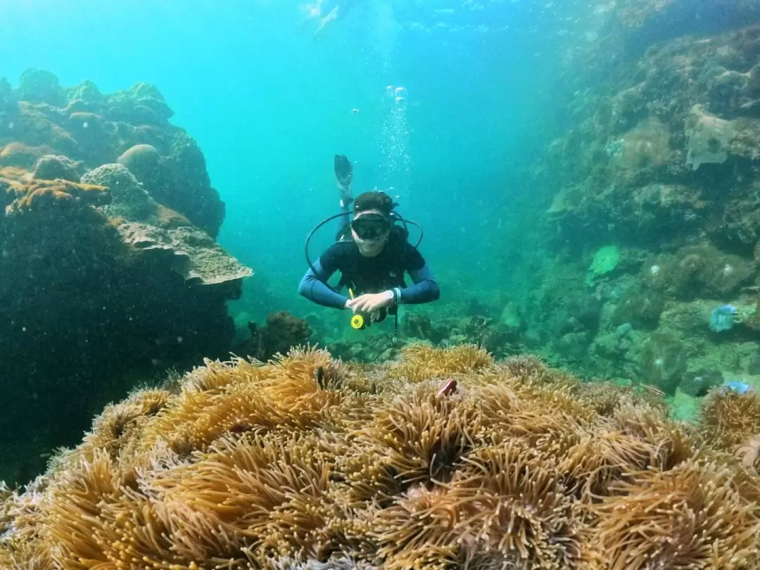 富國島水肺潛水一日遊