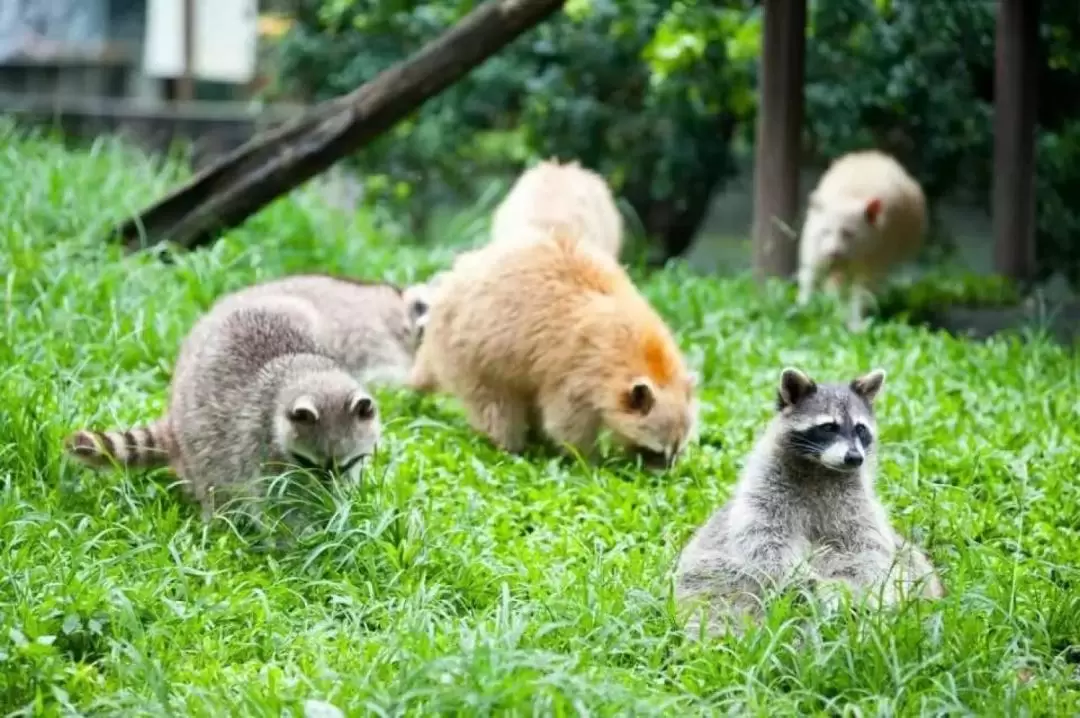 兆豊リゾート農園 入場チケット（花蓮）