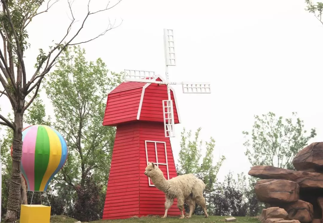 江蘇南通森林野生動物園門票