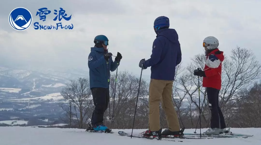 Private Ski or Snowboard Lesson at Niseko, Rusutsu, or Kiroro 