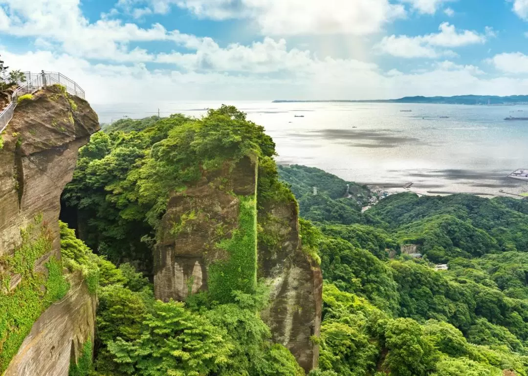 鋸山＆日本寺＆海螢火蟲休息站包車一日遊（東京出發）