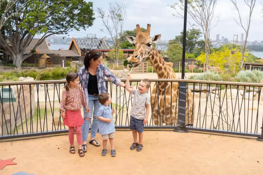 タロンガ動物園 入園チケット（シドニー）