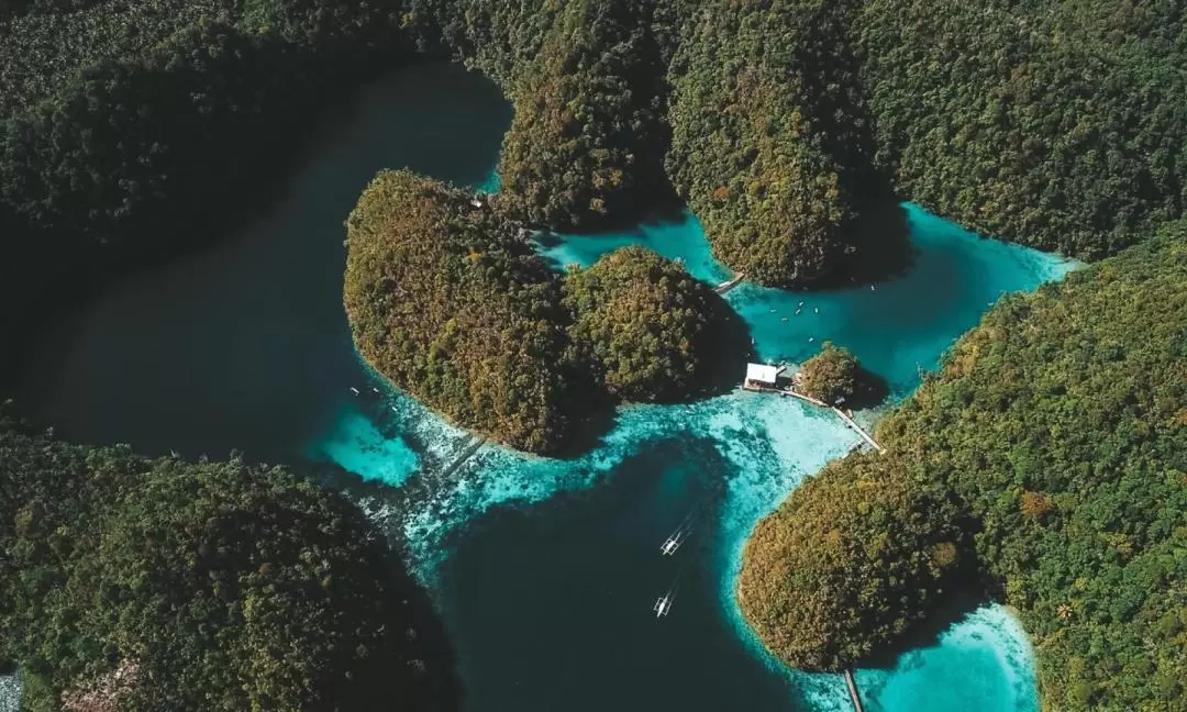 錫亞高島索科羅海灣探索之旅