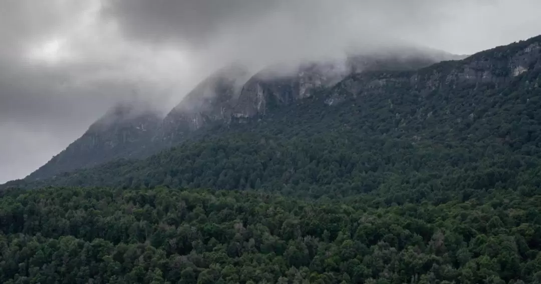 Milford Track Transfers from Queenstown and Te Anau