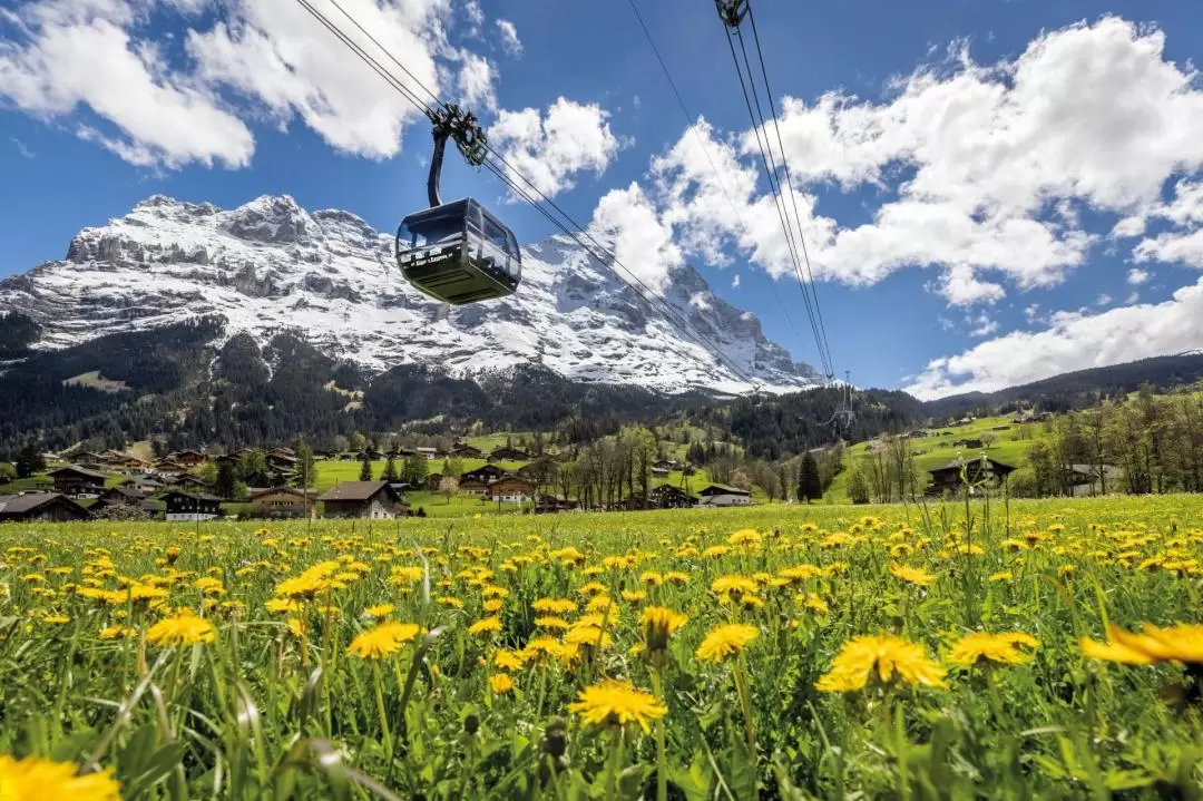 Eiger Express 3S Cable Car Ticket from Grindelwald Terminal to Eiger Glacier 