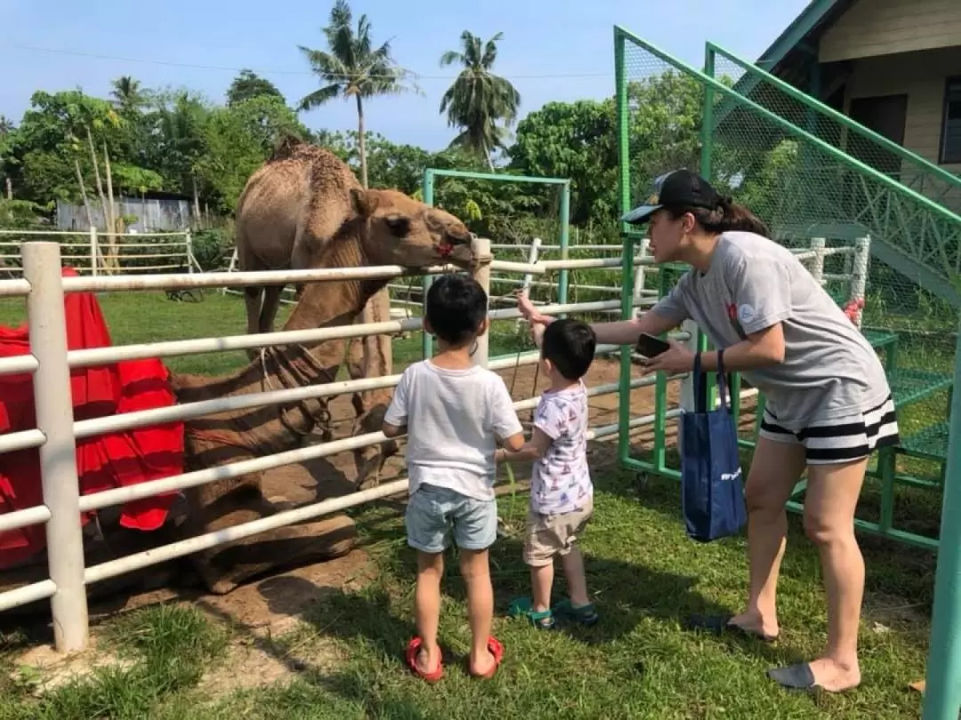 페낭 아우디 드림 팜 입장권