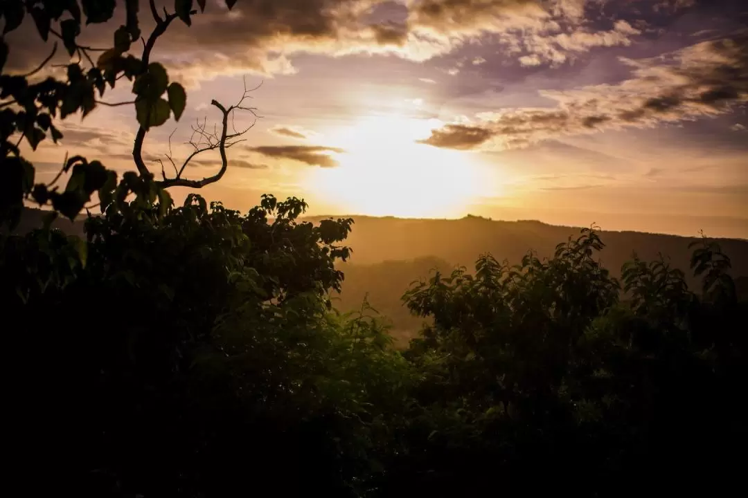 Mount Purro Nature Reserve Day Tour in Antipolo