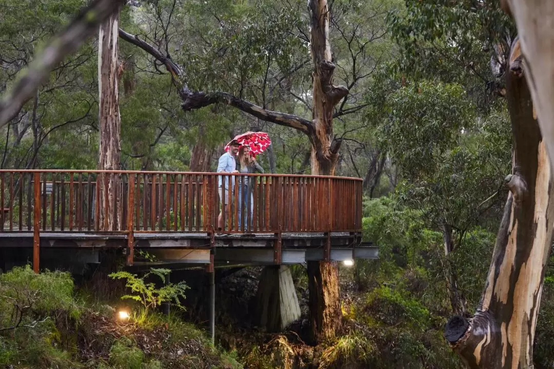 Lake Cave Tour in Margaret River