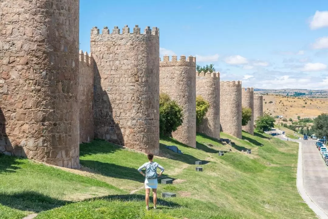 Toledo Segovia and Avila Day Tour from Madrid