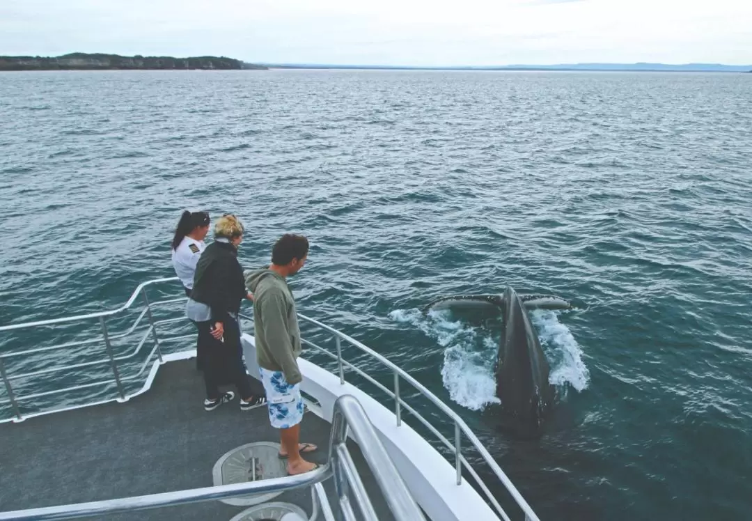 Jervis Bay Whale Watching Cruise