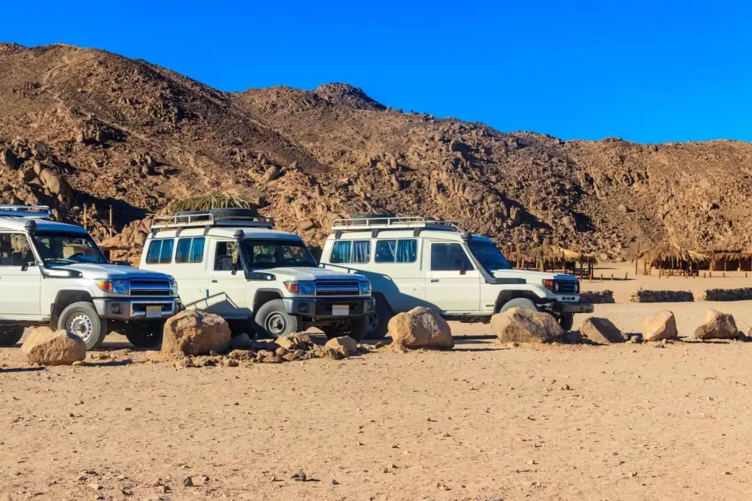胡爾加達四驅吉普車沙漠之旅（含越野車＆衝沙體驗）