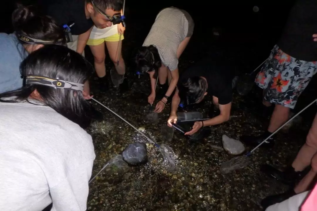 Nighttime Shrimp Picking with Dinner Experience in Hualien