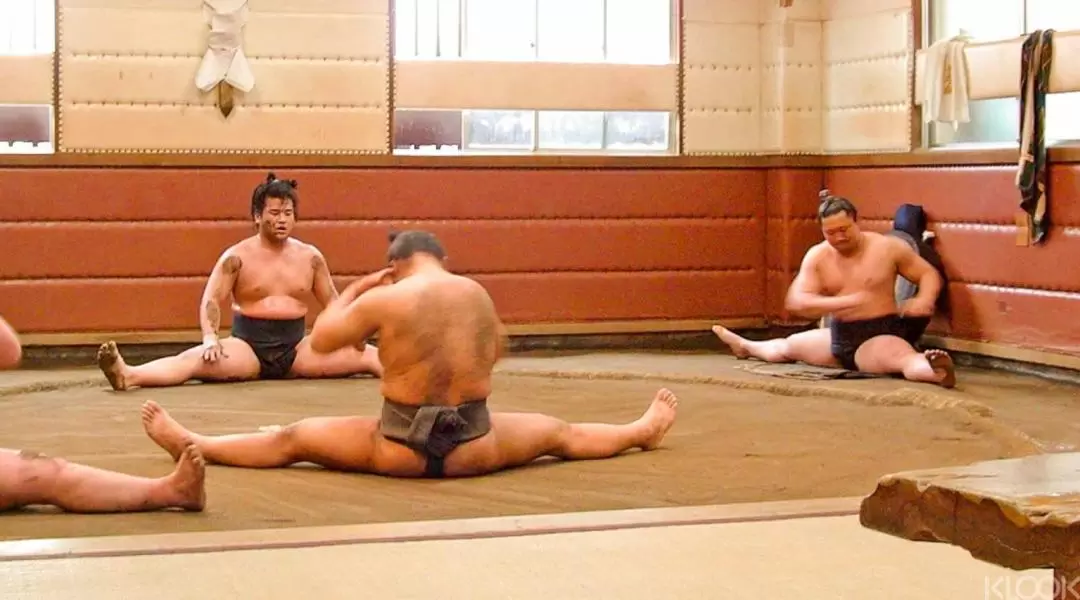 東京相撲練習參觀體驗