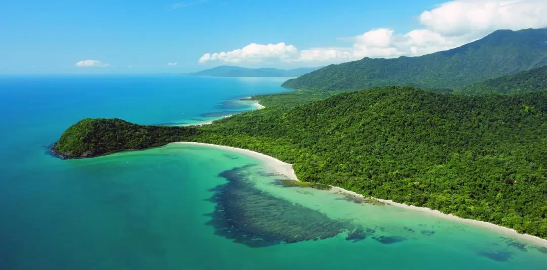 Cape Tribulation and Daintree Wildlife Day Tour from Cairns