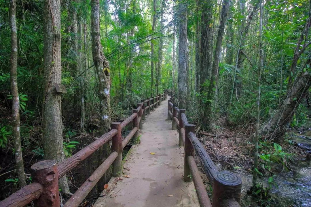 Krabi Outback Explorer to Emerald Pool, Wareerak Hotspring & Beyond