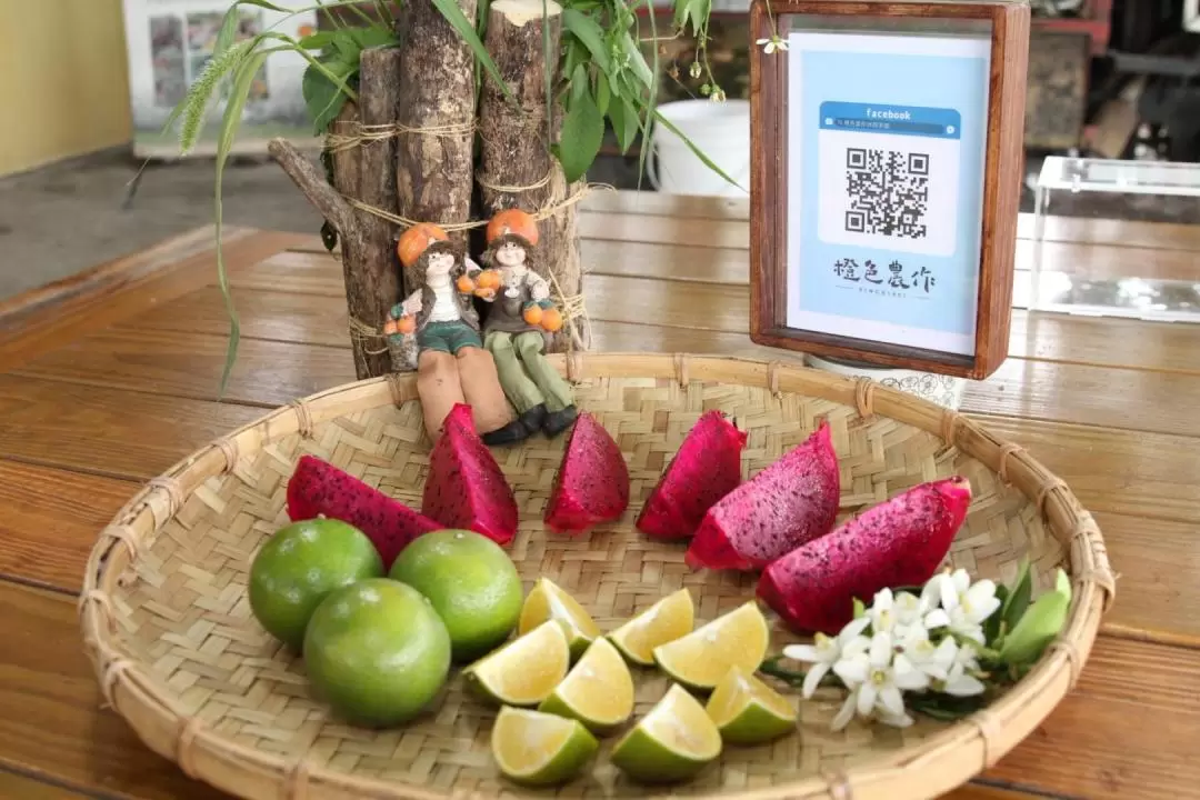 Fu's Farm Fruit Picking Voucher in Yunlin