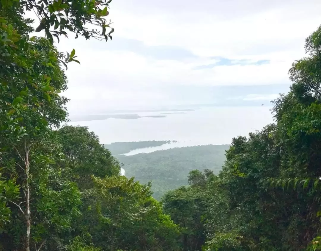 民丹島登山健行大挑戰（含午餐）