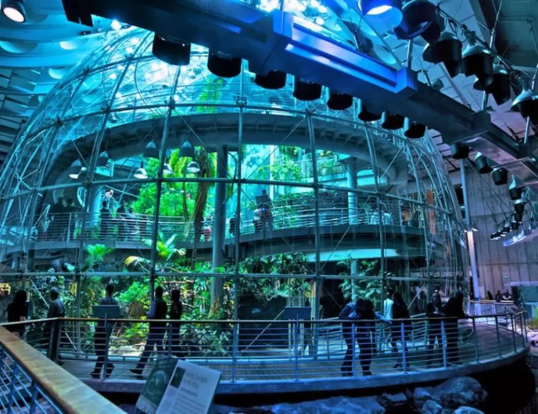 California Academy of Sciences NightLife Ticket in San Francisco