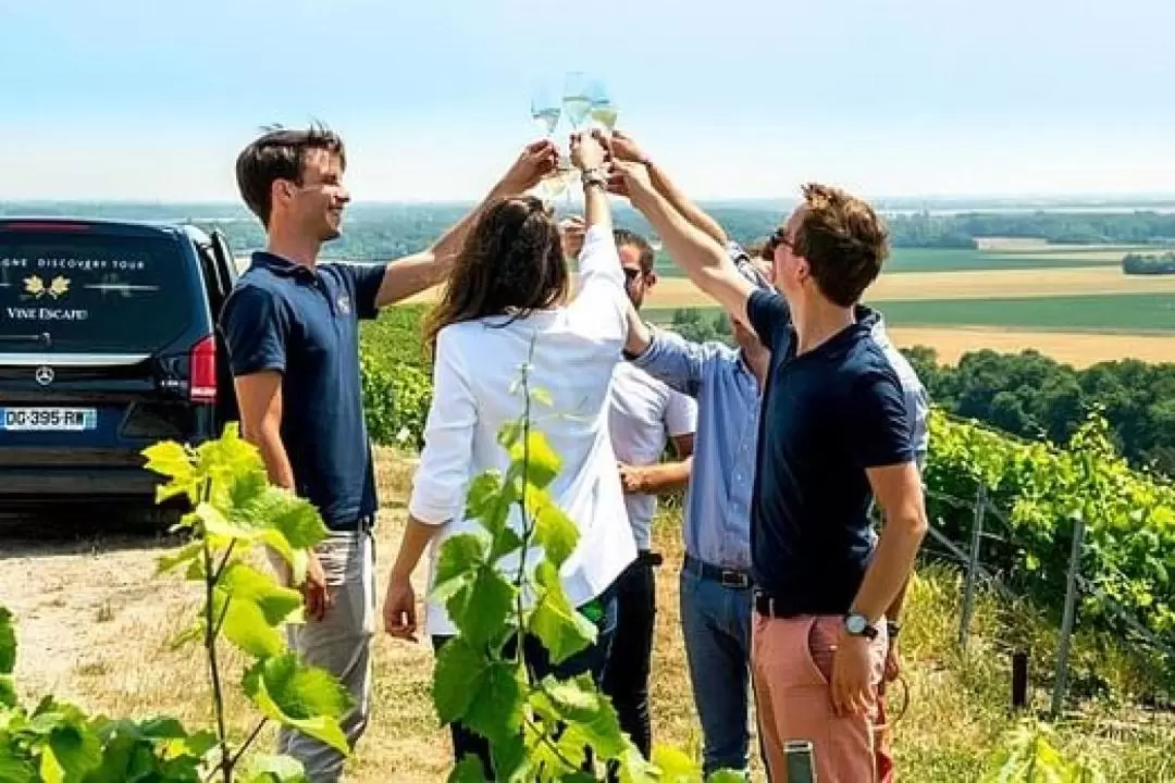  Morning Champagne Pommery and Family Grower Tour from Reims 