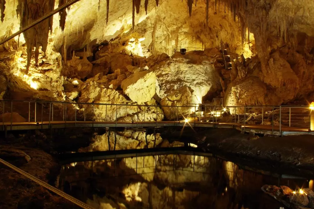 Margaret River Cave, Wine & Busselton Jetty Tour