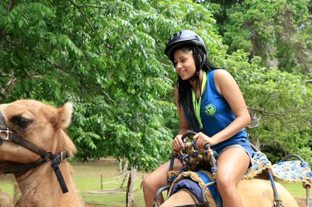 奧喬里奧斯亞曼探險公園（Yaaman Adventure Park）門票