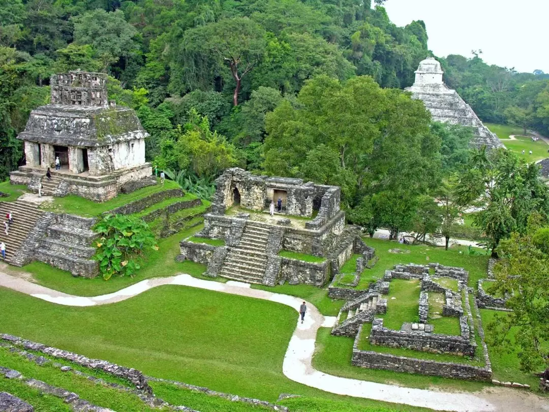 Skip-the-line ticket to Palenque