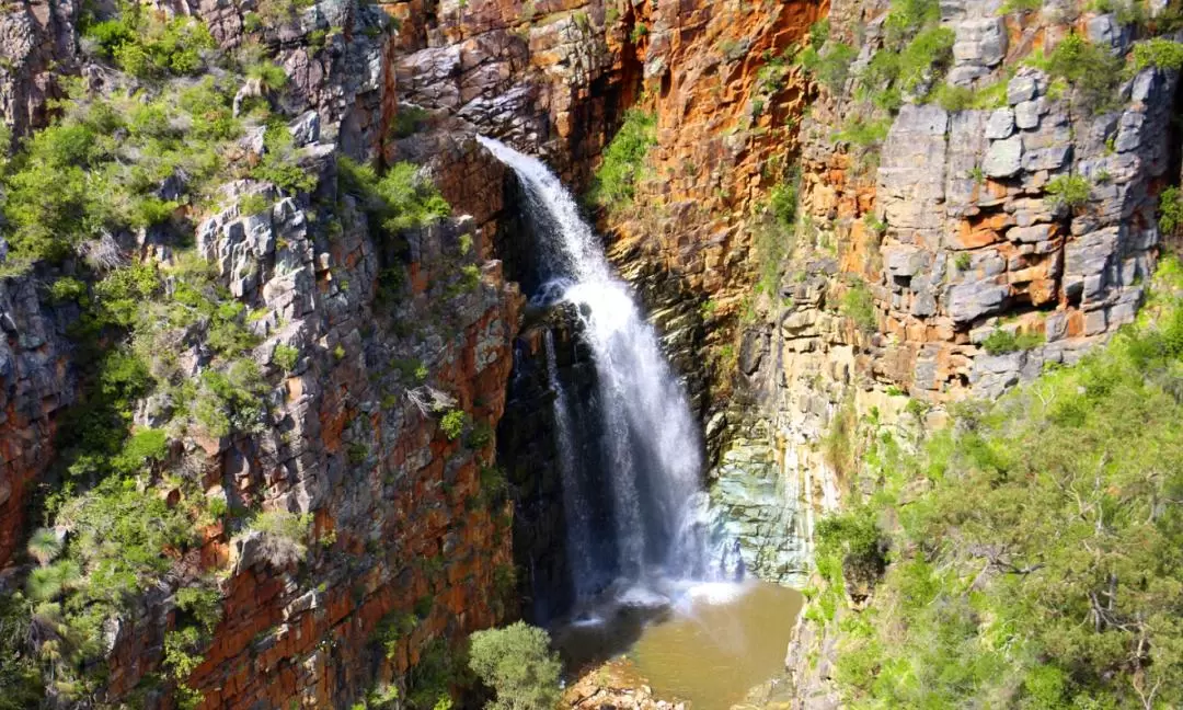 Morialta Wilderness and Wildlife Hike in Adelaide