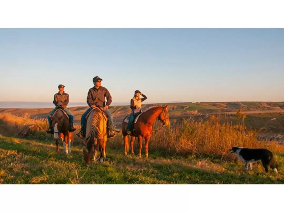 Horse Riding Experience in Kuju Mountains [Western Course]