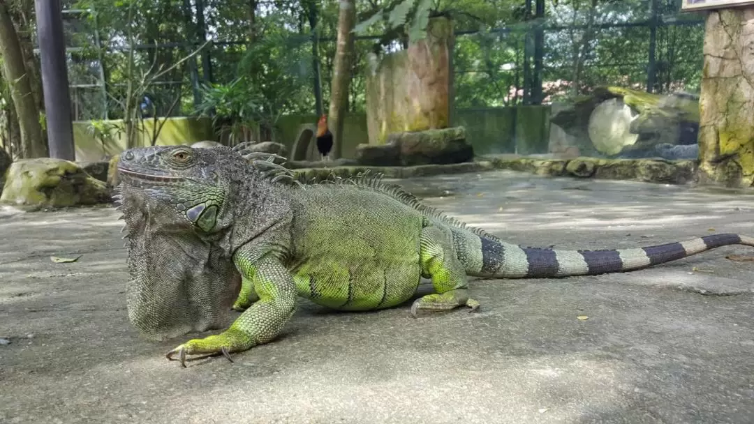 城の農場（動物園）門票